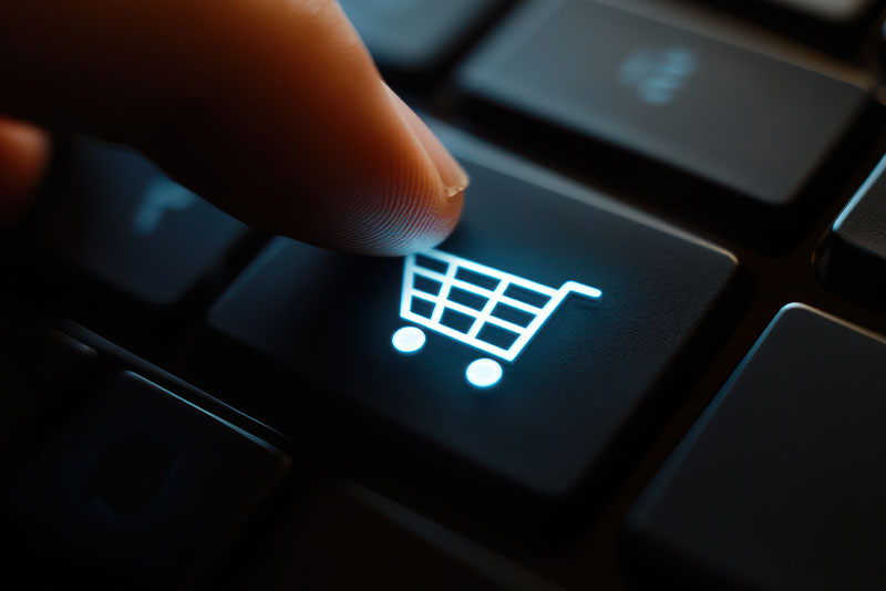 Ecommerce Payment Forms, Website Development & Shopping Cart Services - Web Express - Kalispell Montana Nationwide U.S.A