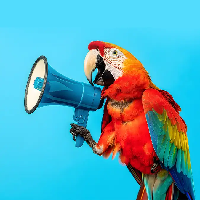 Brand communication and creative marketing