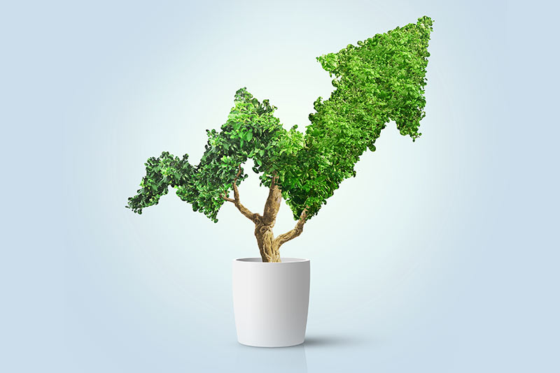 Grow with marketing services from Web Express - Kalispell Montana