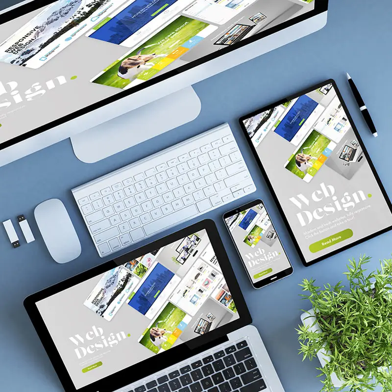 Website Design Hosting Domain Registration Video Streaming SEO Search Engine Optimization | Kalispell Montana Flathead Valley