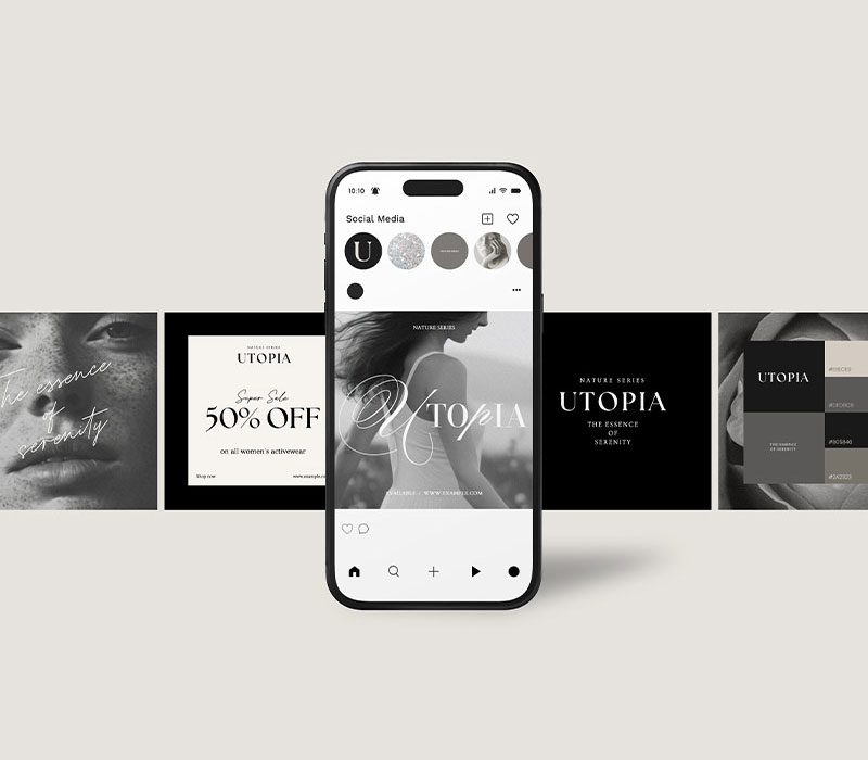 Web Express - Kalispell MT Logo Design and Branding